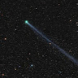 Meet your Posher, Colleen